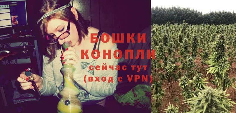 Бошки марихуана Ganja  Сарапул 